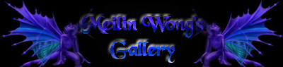 Meilin Wong's Gallery