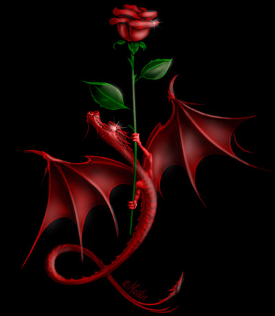 red dragon twined around a rose